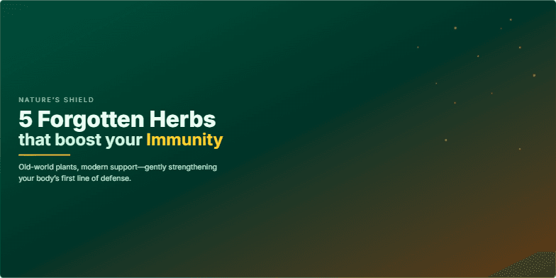 A presentation slide showcasing five forgotten herbs that boost immunity. Hand-drawn illustrations of astragalus, andrographis, schisandra, amla, and elecampane sway gently against a backdrop of deep greens and earthy browns. Sparkling particles and warm gold typography highlight the herbs' benefits and create a calming, natural aesthetic. Fragment #1