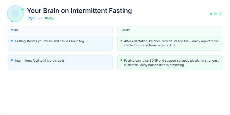 A slide titled 'Your Brain on Intermittent Fasting: Myth vs. Reality' displays myths about fasting alongside scientific realities.  A stylized brain icon pulsates with activity next to text boxes comparing claims like 'Fasting starves your brain' with evidence-based counterpoints such as 'Ketones provide steady fuel'. The design uses calming blues and greens, promoting a sense of clarity and trust. Fragment #3